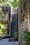 Stone steps with palm tree