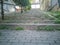 Stone steps with plants and trees at outdoor