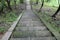 The stone steps in the southern forest are covered with green moss