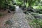 The stone steps in the southern forest are covered with green moss