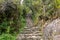 Stone steps on the steep slope of Machu Piccu Mountain with view on the Machu Picchu Inca citadel