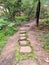 Stone steps and stepping stones on the Flat Rock Creek Track Northbridge Sydney New South Wales Australia