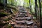 stone steps in the woods with leaves on the ground