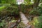 Stone stile in Cornwall