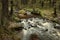 Stone stream in the forest