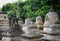 Stone stupas at Buddhist temple with many trees in Bodhgaya, India