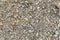 Stone surface, pebbles, small pellets