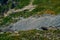 Stone terrain in the mountains and animals