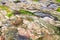 Stone texture as abstract grunge rough background. Close-up view of fjord shore. Natural granite hard rock surface.