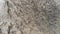Stone Texture Background Miekinia Porphyry