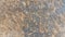 Stone Texture Background Volhynian Basalt