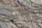 Stone texture. Garnet mica schist large solid