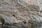 Stone texture. Garnet mica schist large solid