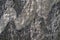 Stone texture. Gneiss large solid