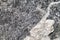 Stone texture. Gneiss large solid