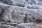 Stone texture in snow and ice. Mountain wall. Rock texture.