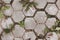 Stone tiles in the form of a hexagon, with grass sprouting from the cracks