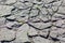 Stone tiles in the park walkway sidewalk, close up photo