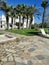 Stone tiles and a path between hotels, a sun lounger, palm trees against a blue cloudless sky