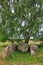 Stone Tomb under Birch