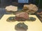 stone tools on the display