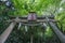 Stone Torii for a Inari Shrine Japanese characters for `Inari Shrine`