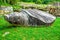 Stone tortoise or turtle monument in Korea