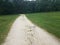 Stone trail with grass and trees