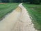 Stone trail with grass and trees and puddle