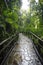 A stone trail leading to Chute du Carbet waterfalls group inside a tropical forest located in Basse-Terre, Guadeloupe