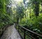 A stone trail leading to Chute du Carbet waterfalls group inside a tropical forest located in Basse-Terre, Guadeloupe