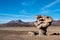 Stone Tree, Bolivia