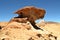 Stone tree rock formation in the desert