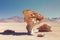 Stone tree that was declared a natural monument, located in the desert of Siloli, southwest of Bolivia