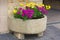 Stone trough with yellow and purple daisies.