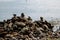 Stone turrets on the seashore, rocky seashore