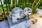 Stone Turtle Sculpture