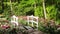 Stone walk way in garden