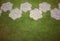 Stone walkway flower shape in garden with copyspace