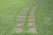 Stone walkway in the garden with green grass.