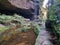 Stone walkway on Greaves Creek on the Grand Canyon Track in the Blue Mountains