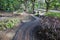 Stone walkway in the outdoor green garden