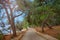 Stone walkway path by the Adriatic sea with a beautiful pine forest in Porec, Istria region, Croatia