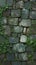 Stone wall adorned in lush green moss, a vintage allure
