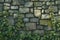 Stone wall adorned in lush green moss, a vintage allure
