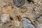 Stone wall background Wall made of cavern rock