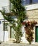 Stone wall decorated by a floral plant