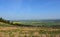 Stone Wall Dividing the Countryside in Northern England