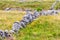 Stone wall and Farm field in Ballyvaughan