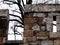 Stone Wall of Fort with Arrowslit & Patched with Brick